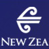 Air NZ 2005